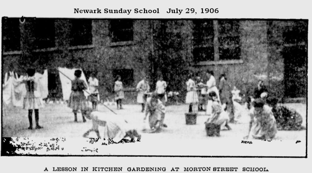 A Lesson in Kitchen Gardening at Morton Street School
July 29, 1906
