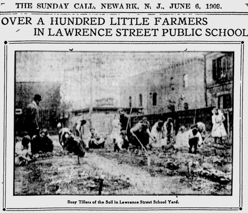 Over a Hundred Little Farmers in Lawrence Street Public School
1909
