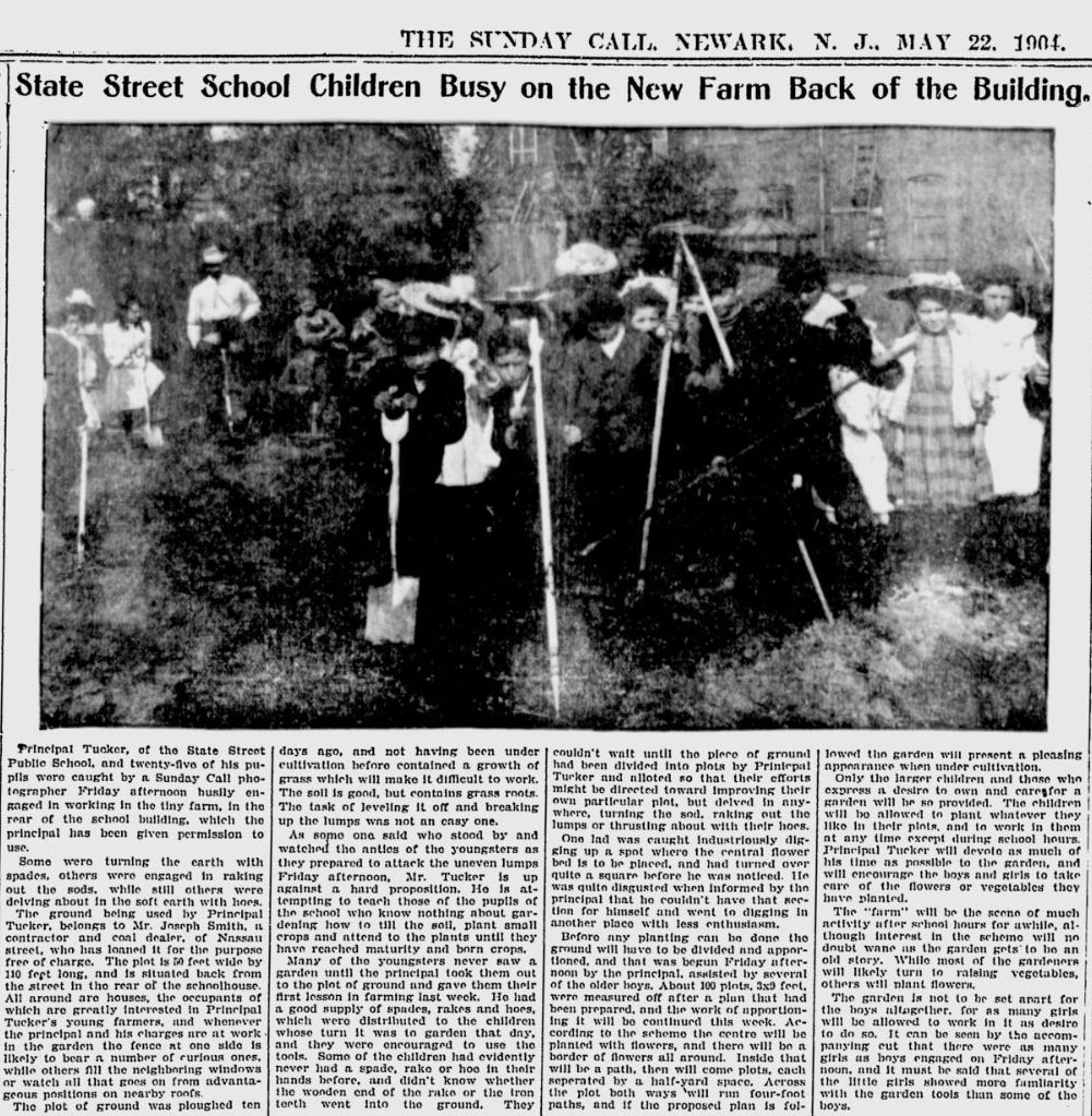 State Street School Children Busy on the New Farm Back of the Building
May 22, 1904
